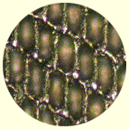 Nova Silver Engraving