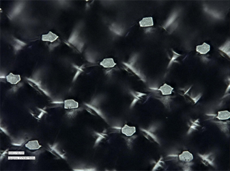 數位直接輸出版的曝光